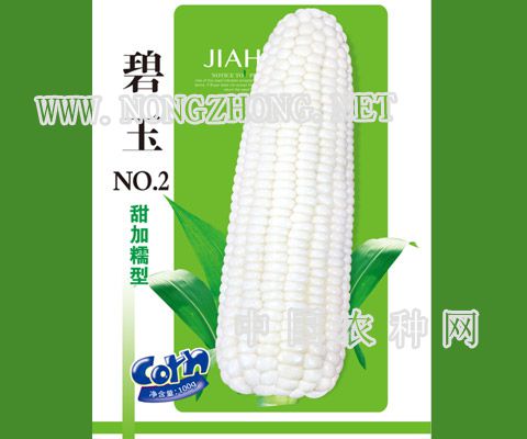 碧玉NO.2